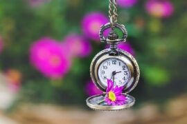 房东的猫《拾光》（欢乐颂3插曲）歌词及评论赏析