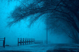 h3R3《再等冬天》歌词及评论赏析