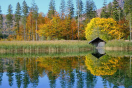 汪苏泷《巴赫旧约》歌词及评论赏析