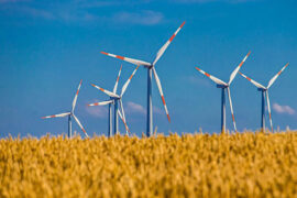 苏玮《如果可以》歌词评论及赏析