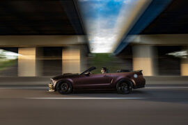 曾抖抖《平凡日子里的挣扎》歌词及评论赏析