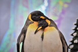 分分钟需要你粤语发音（谐音歌词）