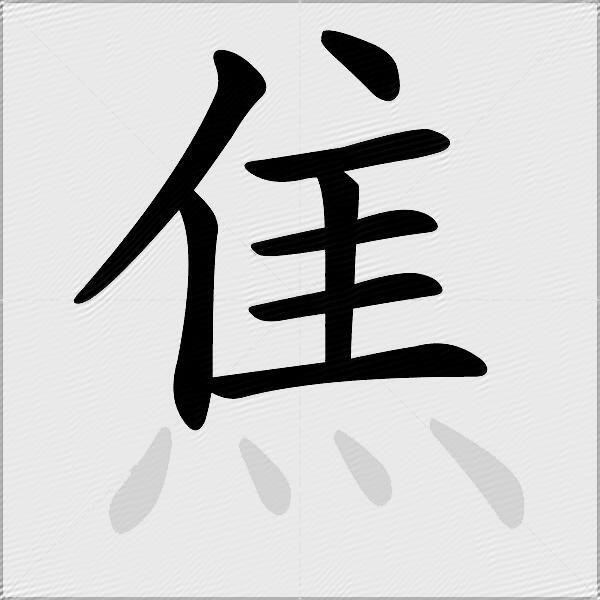 焦组词（包含“焦”字的组词及成语）2