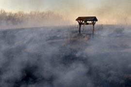 焦组词（包含“焦”字的组词及成语）