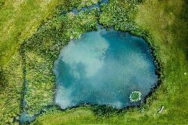 塘组词（包含“塘”字的组词及成语）