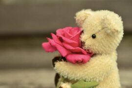 2022超级治愈的文案短句