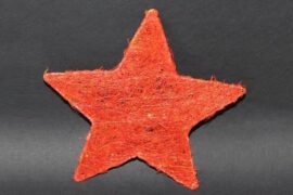 《红星照耀中国》好词好句摘抄