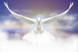 伍佰《白鸽》歌词及评论赏析