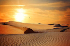 吴克群《将军令》歌词及评论赏析