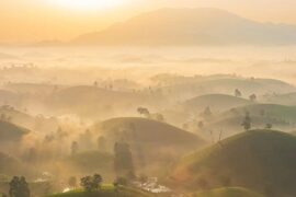 寓意未来很美好的诗句