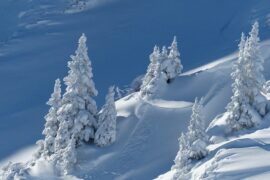 北国风光千里雪飘全诗（沁园春·雪全文）