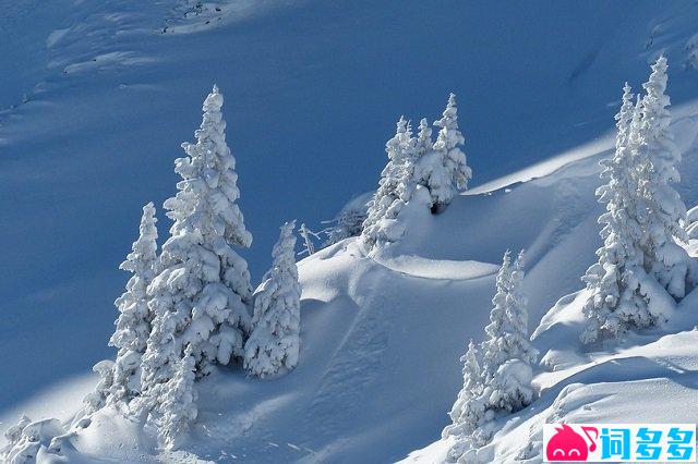 北国风光千里雪飘全诗（沁园春·雪全文）