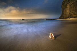 南征北战《把一切交给海浪》歌词及评论赏析