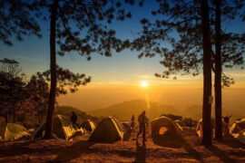 邓紫棋《不想回家》歌词及评论赏析