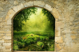 萧敬腾《海芋恋》歌词及评论赏析