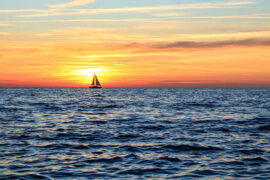 金池《力量的光》歌词及评论赏析