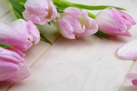 夸奖老师尽职尽责简短话