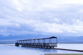 张云龙《心云》歌词及评论赏析