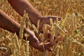 获组词（包含“获”字的组词及成语）