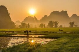 周深《田埂五月风》歌词表达及评论赏析