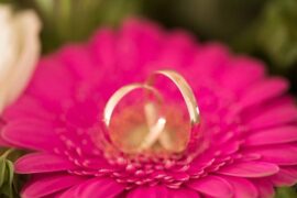 周蕙成名曲《约定》歌词及评论赏析