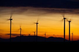 温兆伦《随风缘》歌词表达评论及赏析