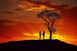 会的多音字组词