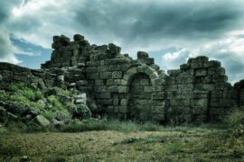 颓组词（包含“颓”字的组词及成语）