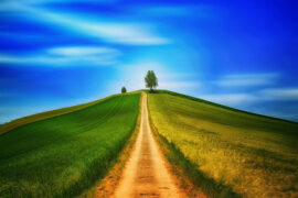 秦观《雨中花·指点虚无征路》全文及鉴赏