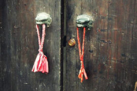 纳兰性德《南乡子·秋暮村居》全文及鉴赏