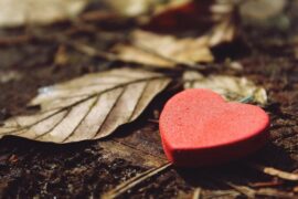 表达感谢的高级句子