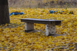 陈妃平成名曲《永远到底有多远》歌词表达、评论及赏析
