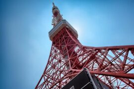 张峻宁《小飞侠》歌词及评论赏析