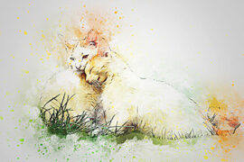 廖俊涛《谁》歌词表达、评论及赏析