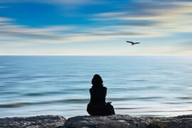 海组词（包含“海”字的组词及成语）封面图