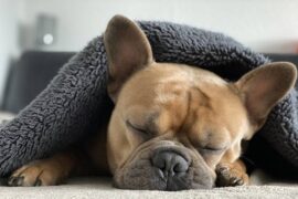 睡前高情商说晚安的文案句子