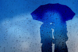 陈奕迅《冷雨》歌词表达、评论及赏析