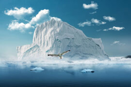 曹方《冰川》歌词表达、评论及赏析