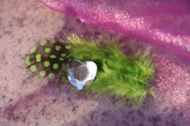 海洋Bo、高睿《我的美丽》歌词表达、评论及赏析