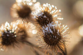 周传雄《情诀》歌词表达、评论及赏析