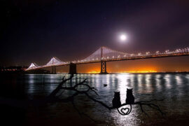 杨丞琳《明月光》歌词表达、评论及赏析