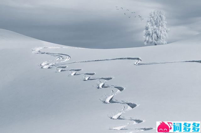 纳兰性德《菩萨蛮·朔风吹散三更雪》全文及鉴赏