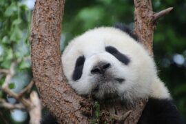 结束一天的疲惫幽默句子