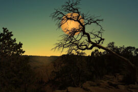 宝石Gem、吴碧霞《一封家书2022》歌词表达、评论及赏析