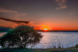 晏几道《鹧鸪天·彩袖殷勤捧玉钟》全文及鉴赏