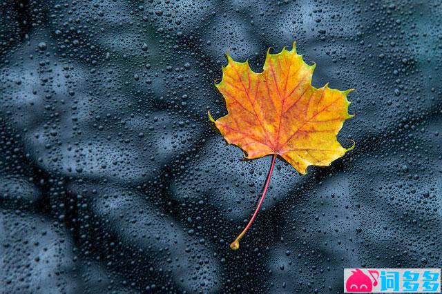 纳兰性德《菩萨蛮·萧萧几叶风兼雨》全文及鉴赏