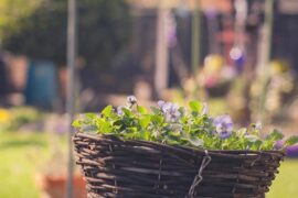 文案短句干净治愈90句（精选）