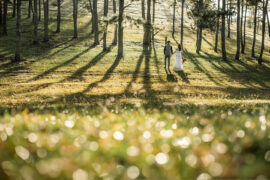 王贰浪《往后余生》歌词表达、评论及赏析