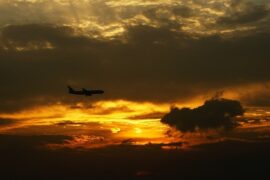 王菲《归途有风》（万里归途电影主题曲）歌词评论及赏析