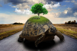 王以太《童言无忌》歌词表达、评论及赏析